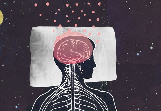 Não bộ làm gì khi chúng ta ngủ sâu giấc